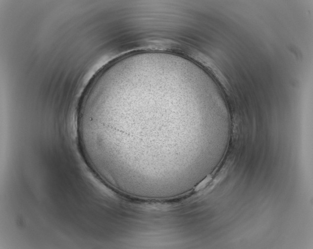 X0000113901083200910151350