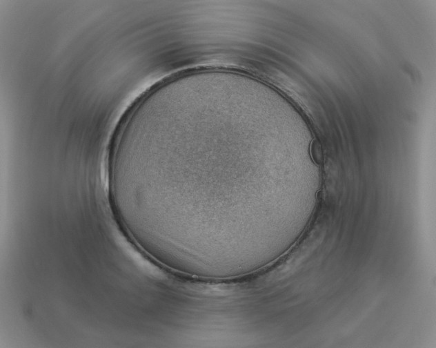 X0000113901084200910151350