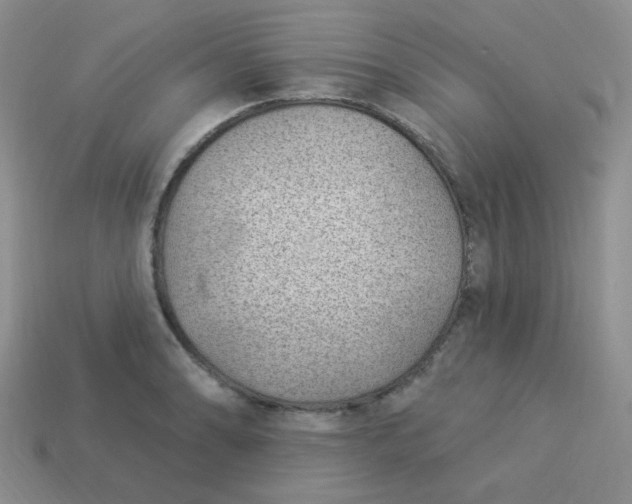 X0000113901086200910151350