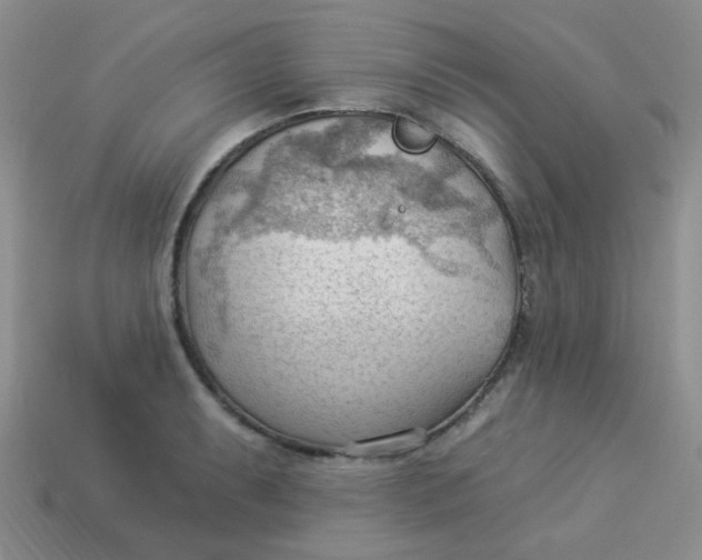 X0000113901087200910151350