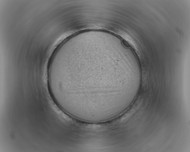 X0000113901088200910151350