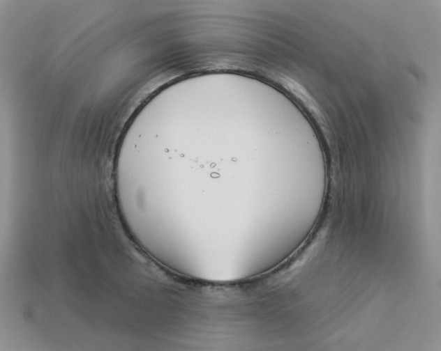 X0000113901089200910151350