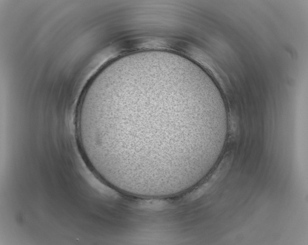 X0000113901090200910151350