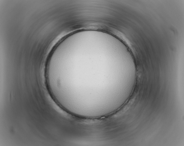 X0000113901091200910151350