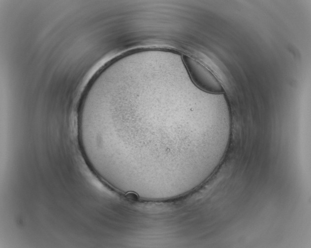 X0000113901092200910151350