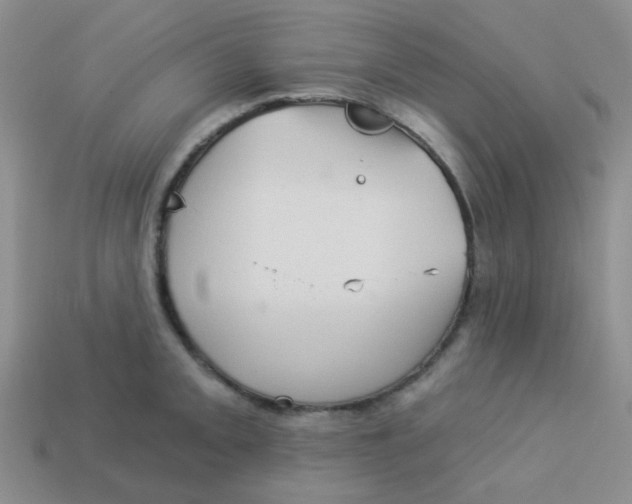 X0000113901093200910151350