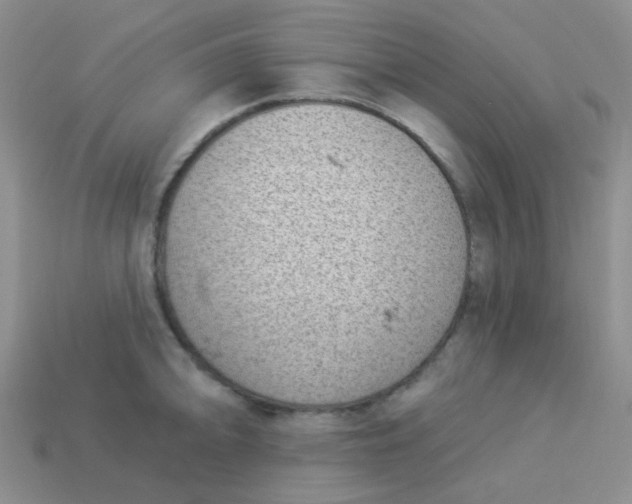 X0000113901094200910151350