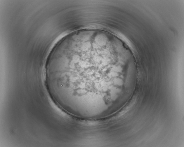 X0000113901095200910151350