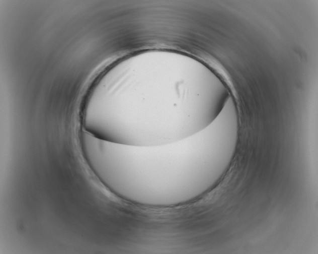 X0000113901096200910151350