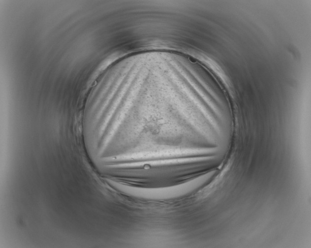 X0000113901097200910151350