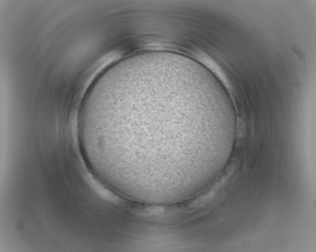 X0000113901098200910151350