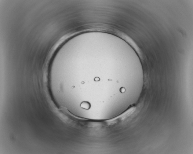 X0000113901099200910151350