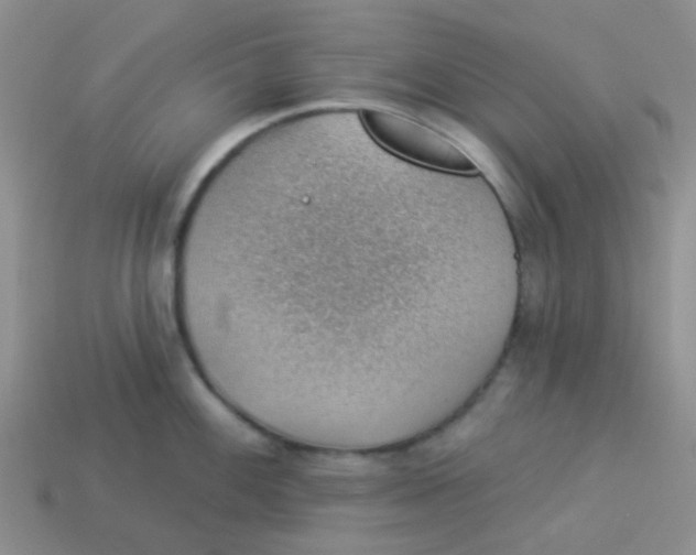 X0000113901100200910151350