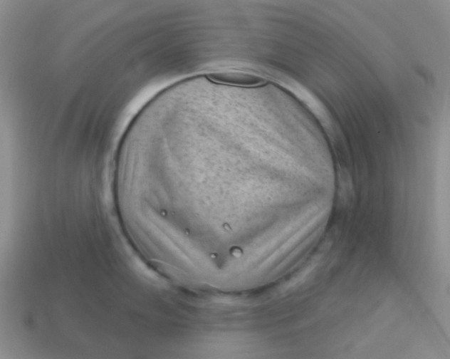 X0000113901102200910151350