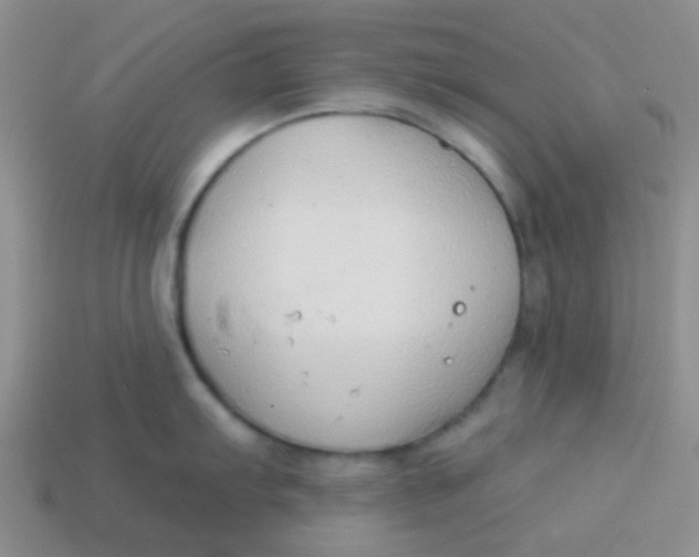 X0000113901103200910151350