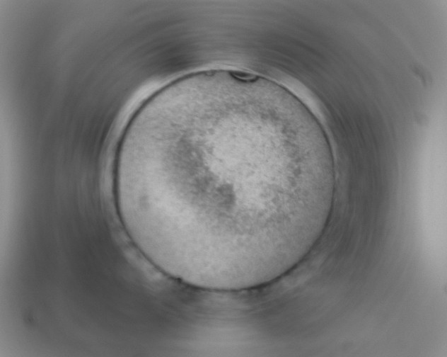 X0000113901104200910151350