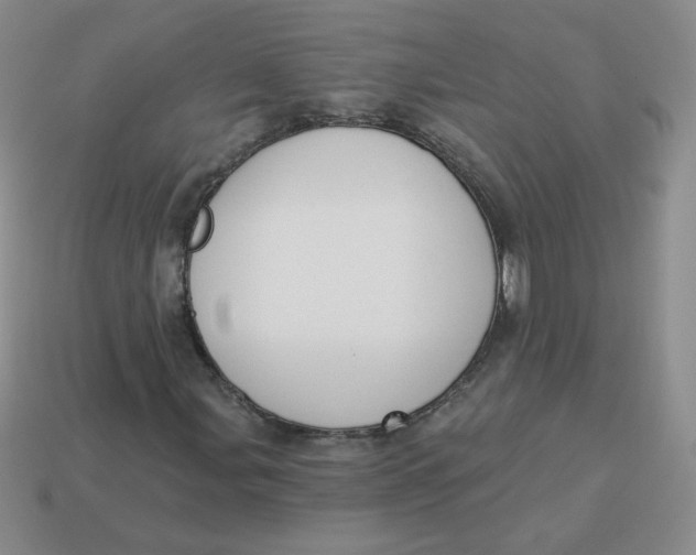 X0000113901107200910151349