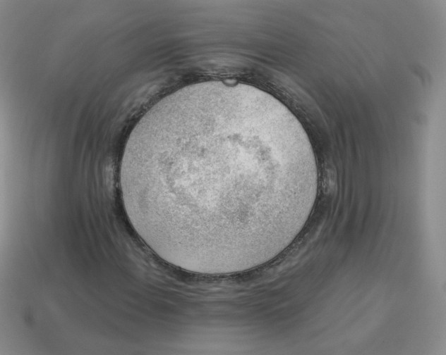 X0000113901108200910151349