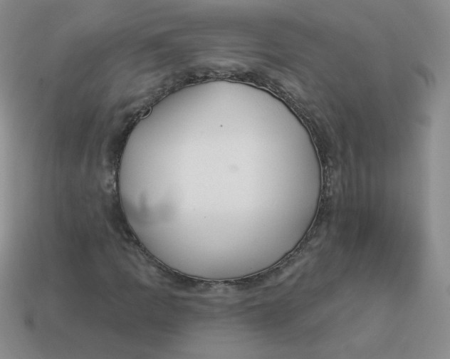 X0000113901109200910151349