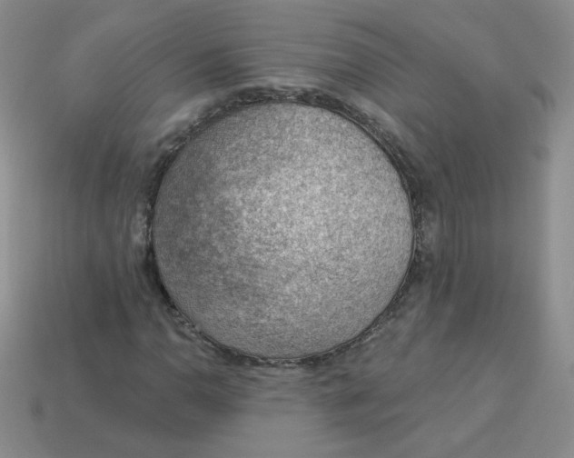 X0000113901110200910151349