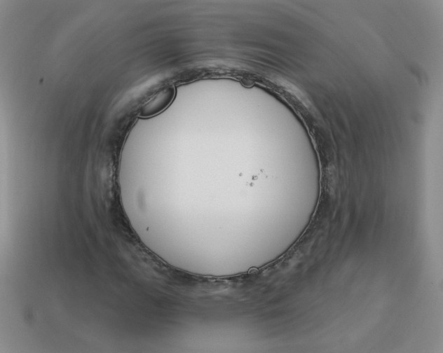 X0000113901111200910151349