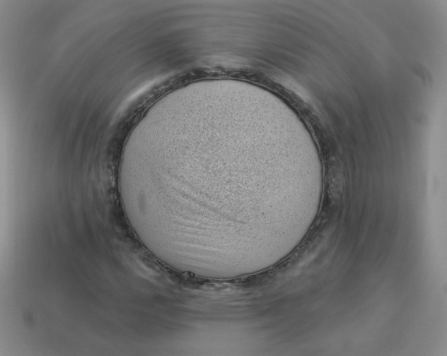 X0000113901112200910151349