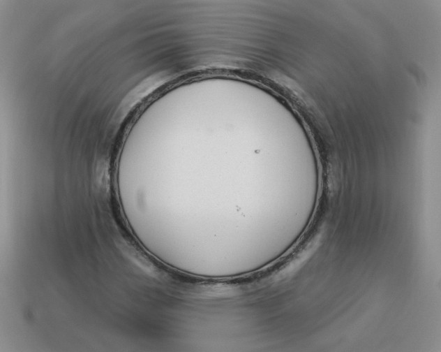 X0000113901113200910151349