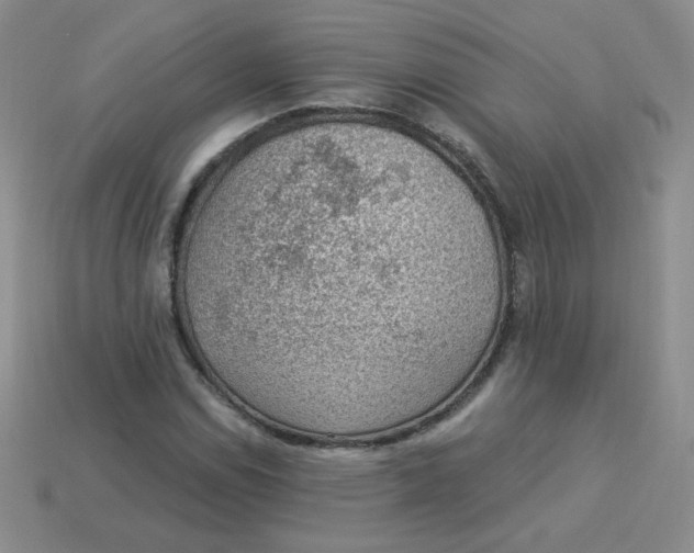 X0000113901114200910151349