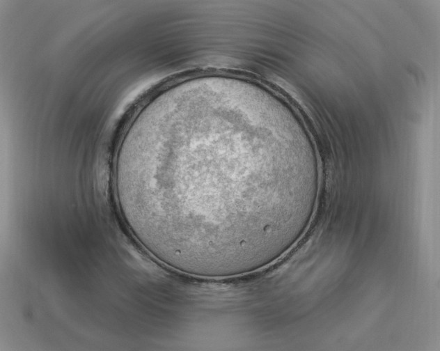 X0000113901115200910151349