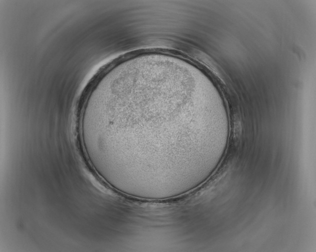 X0000113901116200910151349