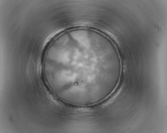 X0000113901117200910151349