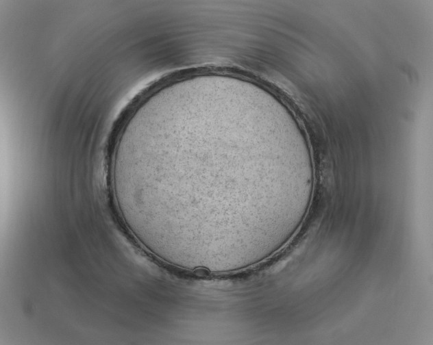 X0000113901118200910151349