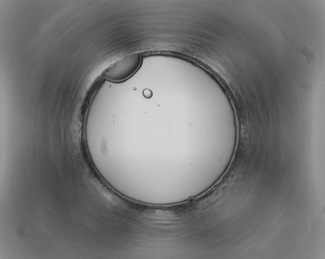 X0000113901119200910151349