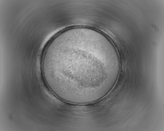 X0000113901120200910151349