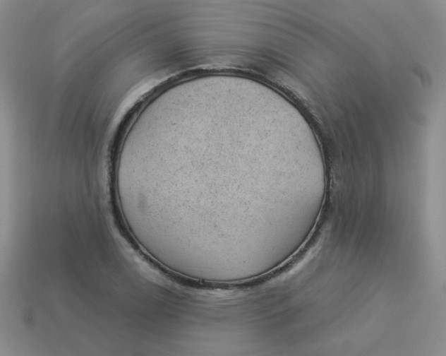 X0000113901122200910151349