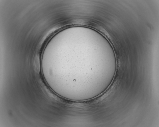 X0000113901123200910151349