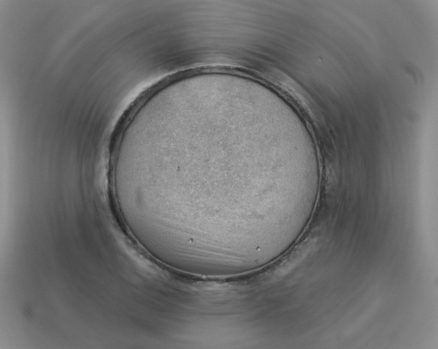 X0000113901124200910151349