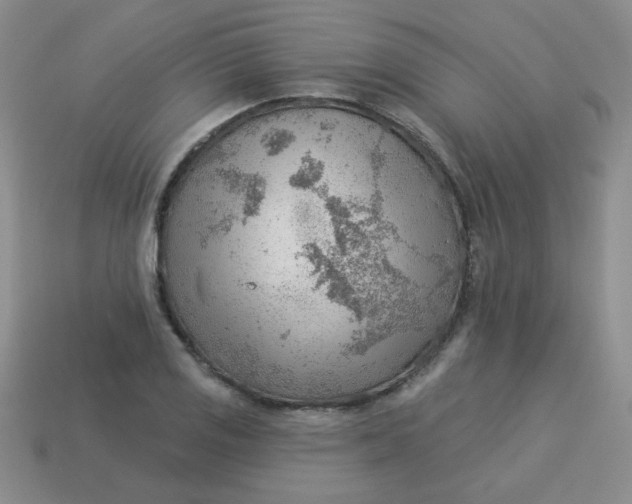 X0000113901125200910151349