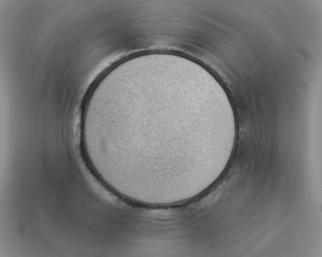 X0000113901126200910151349