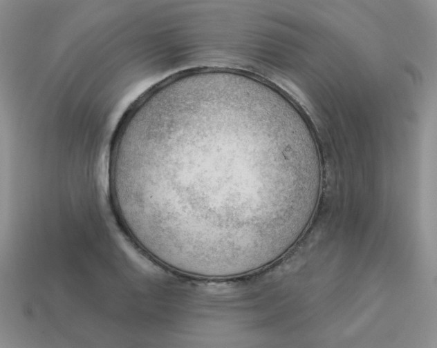 X0000113901128200910151349