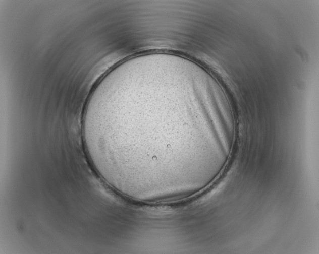 X0000113901129200910151349