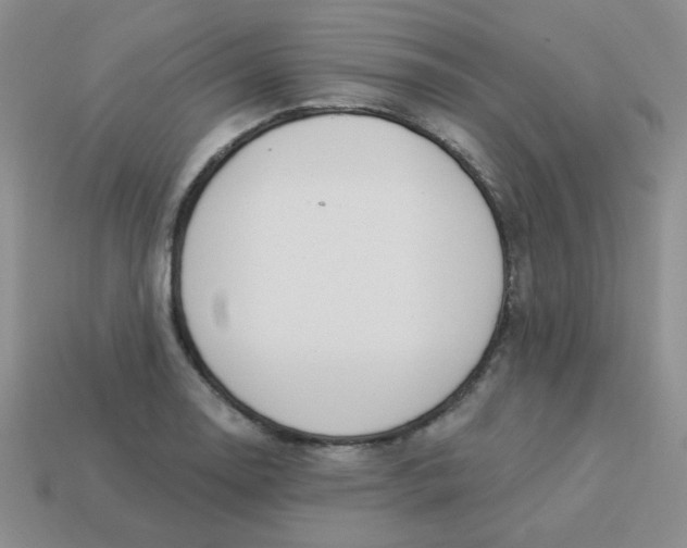 X0000113901130200910151349