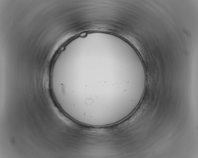 X0000113901131200910151349