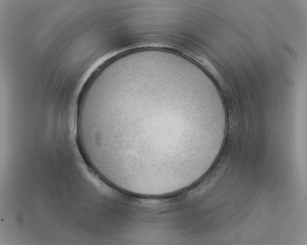 X0000113901132200910151349