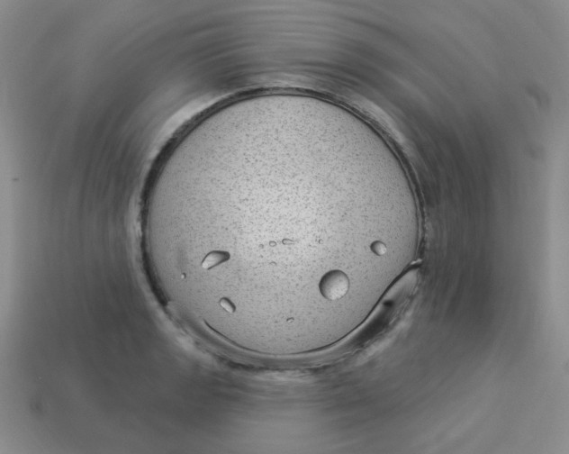 X0000113901133200910151349