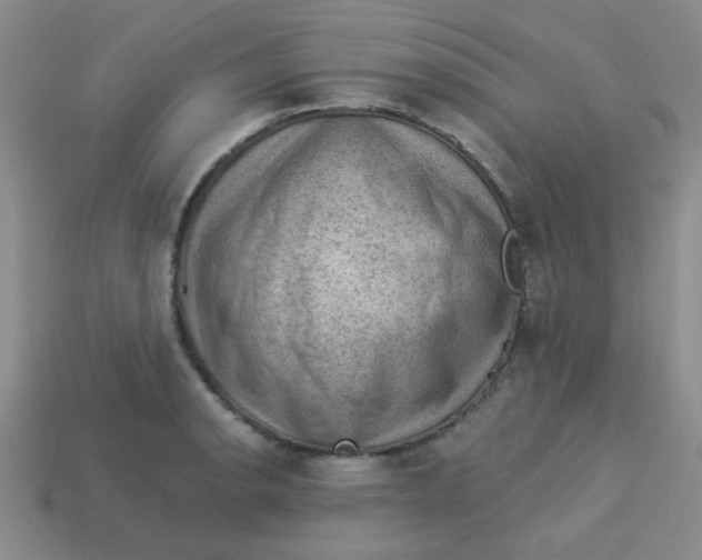 X0000113901134200910151349