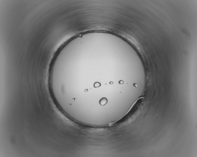 X0000113901135200910151349