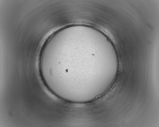 X0000113901136200910151349