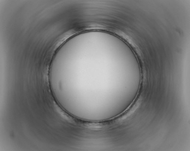 X0000113901137200910151349