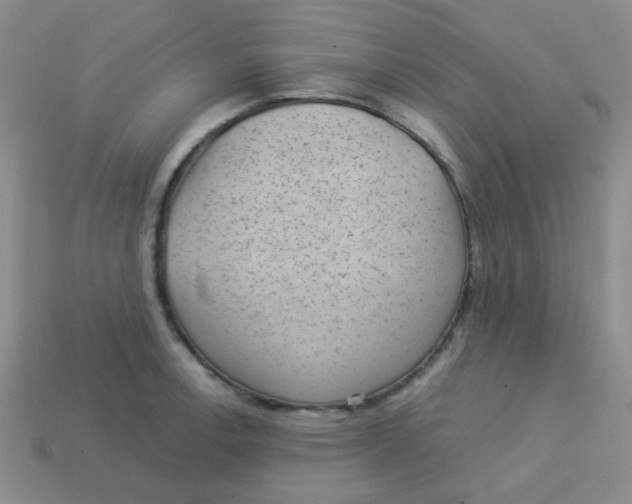 X0000113901138200910151350